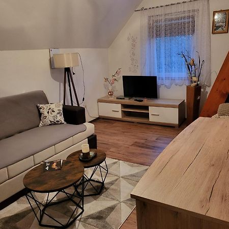 Saborsko Apartments Matovina מראה חיצוני תמונה