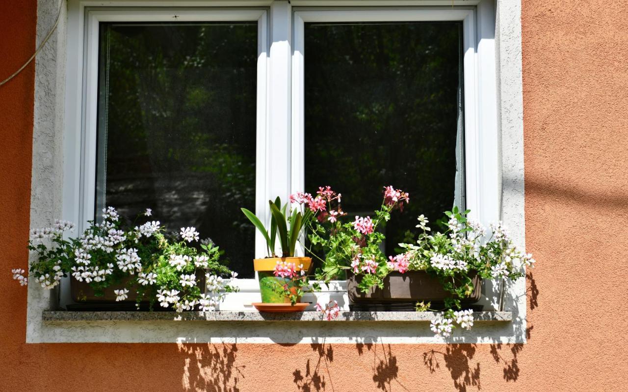 Saborsko Apartments Matovina מראה חיצוני תמונה